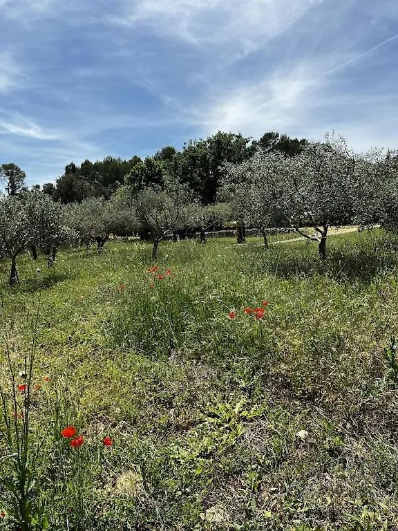Charming, Chic, Secluded Villa Within Walking Distance From Lorgues 0*,  France