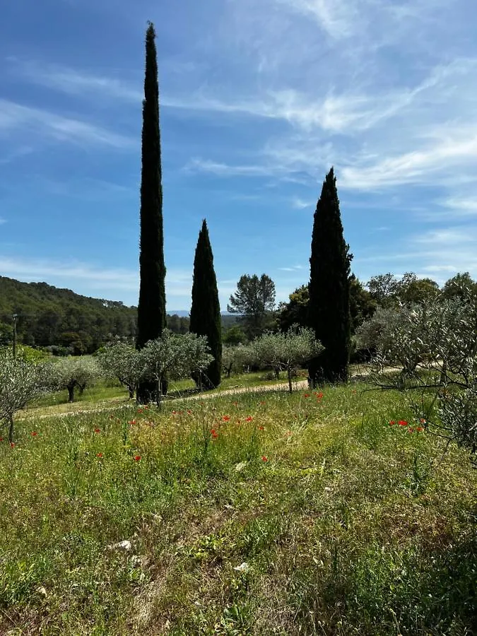 Charming, Chic, Secluded Villa Within Walking Distance From Lorgues 0*,  France